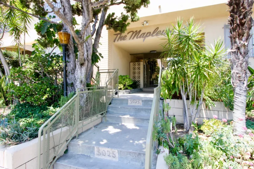 A lovely tree-lined landscaped stairway leading to the maple woods complex.