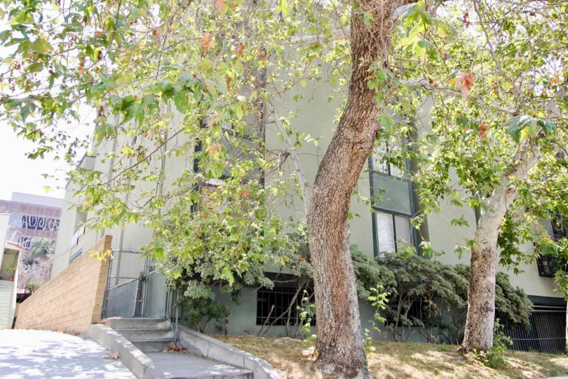 THE TREES TAKE PLACE IN THE FRONT OF THE APARTMENT. ITS VERY BEAUTIFUL.