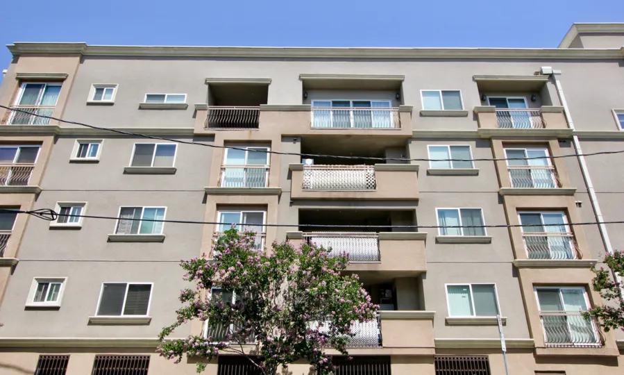 brown walls of Galatic Wilshire Palace, Hancook park, california