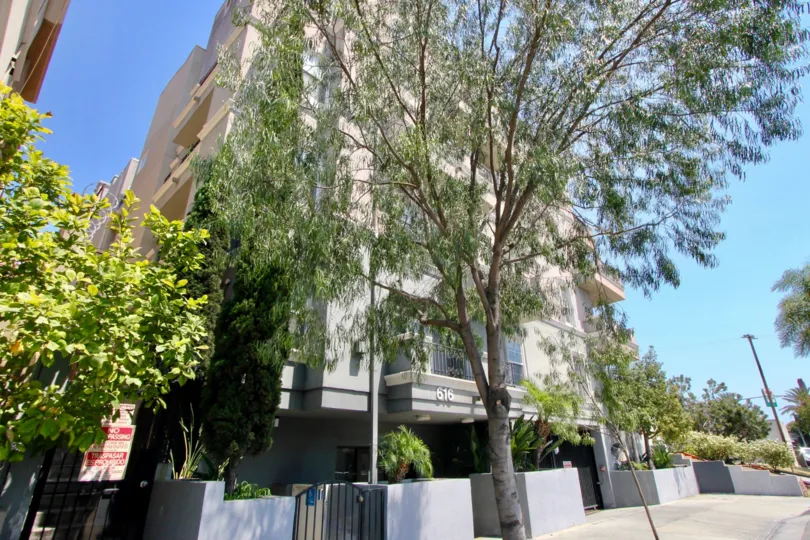 Tall apartment building in the Wilton Manor neighborhood with one large tree covering the outside