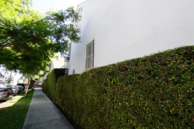 The Banner Manor sidewalk is lined with bushes at the building side and grass at the street