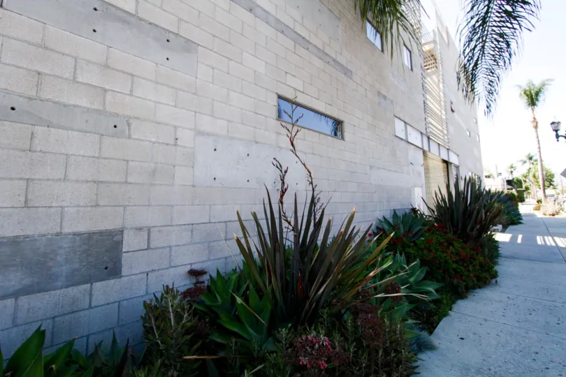 An array of plants fill the Cahuenga Lofts planters