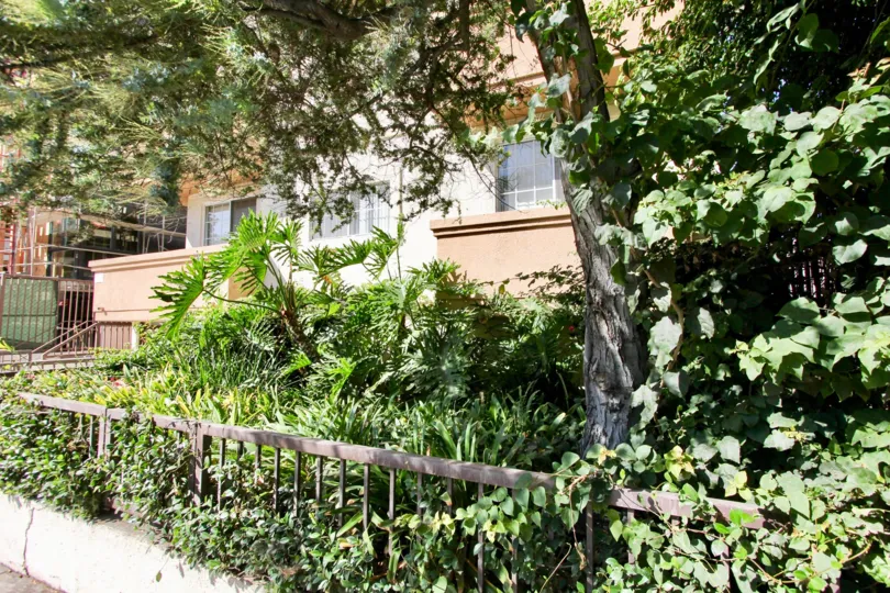 The landscaping around Hudson Terrace in Hollywood, California