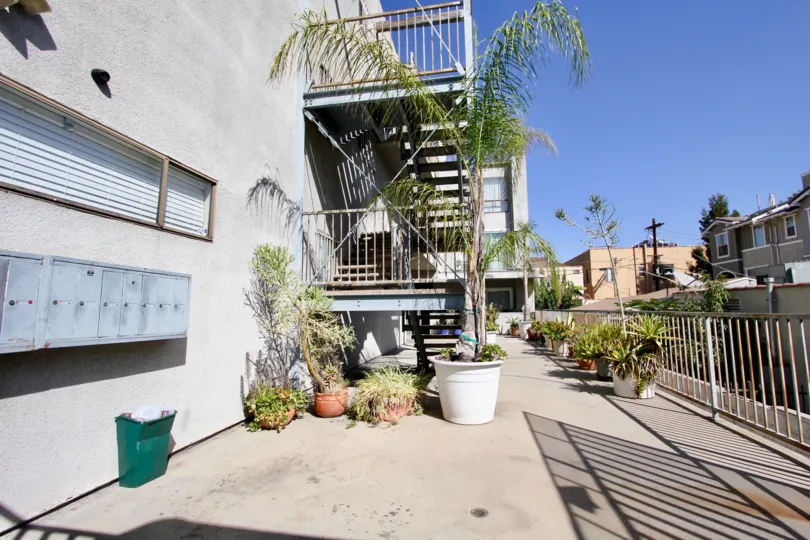 The potted plants around La Mirada Condominiums