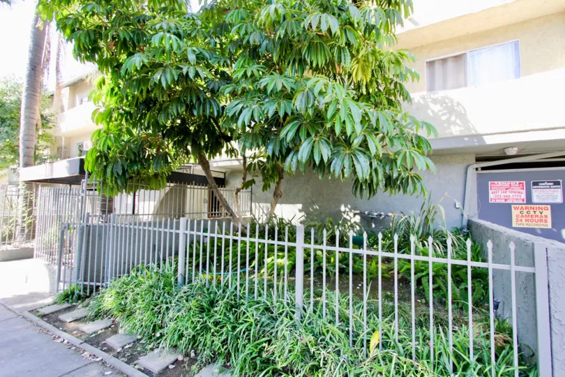 The landscaping around Orange Drive