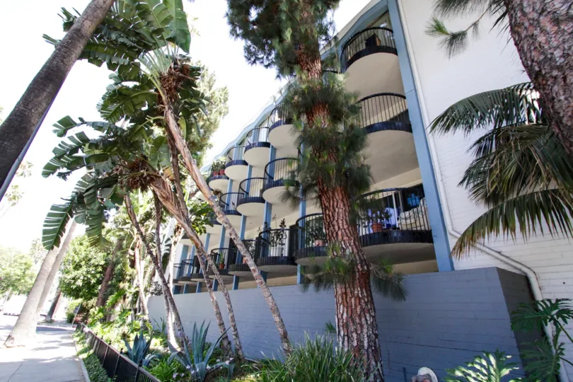 A large planter sits behind a metal fence in front of the Sierra Terrace condos