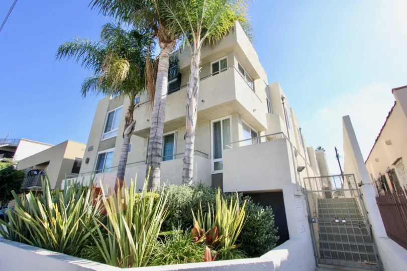 The landscaping around Van Ness Grove in Hollywood, California