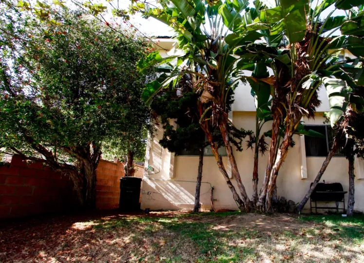 The landscaping at 317 W Hyde Park Blvd in Inglewood