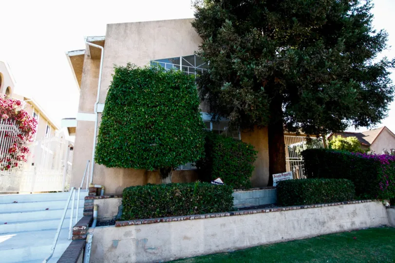 The landscaping at 705 Myrtle Ave