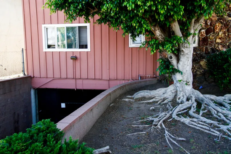 The grounds at 715 Larch St in Inglewood