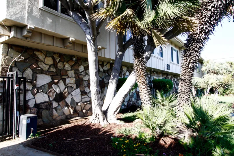 The landscaping at Care Free Place in Inglewood