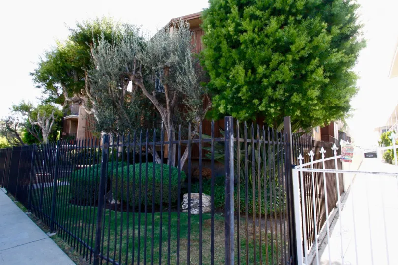 The trees in front of Cedar Crest in Inglewood