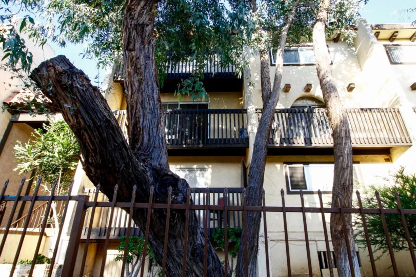 The landscaping around Eucalyptus Grove