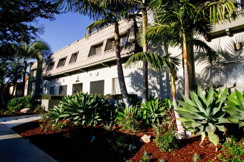 The landscaping seen at the Eucalyptus Oasis in Inglewood