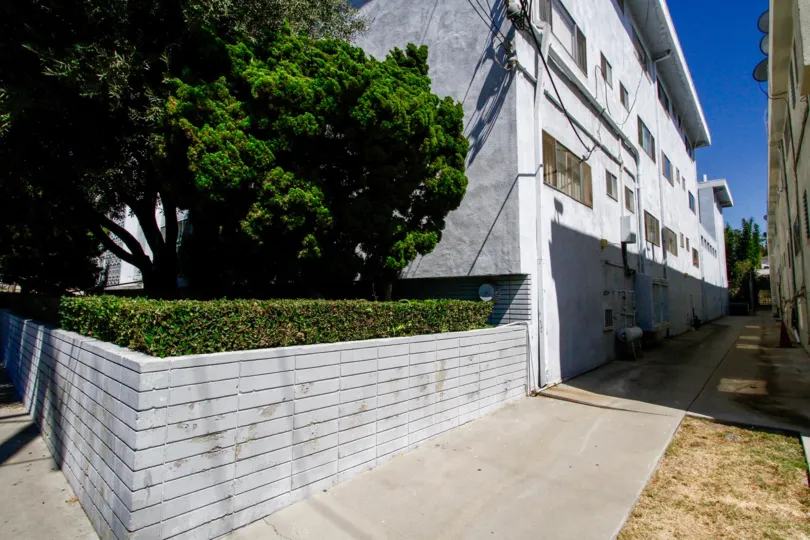 The sidewalk at the Evergreen Terrace