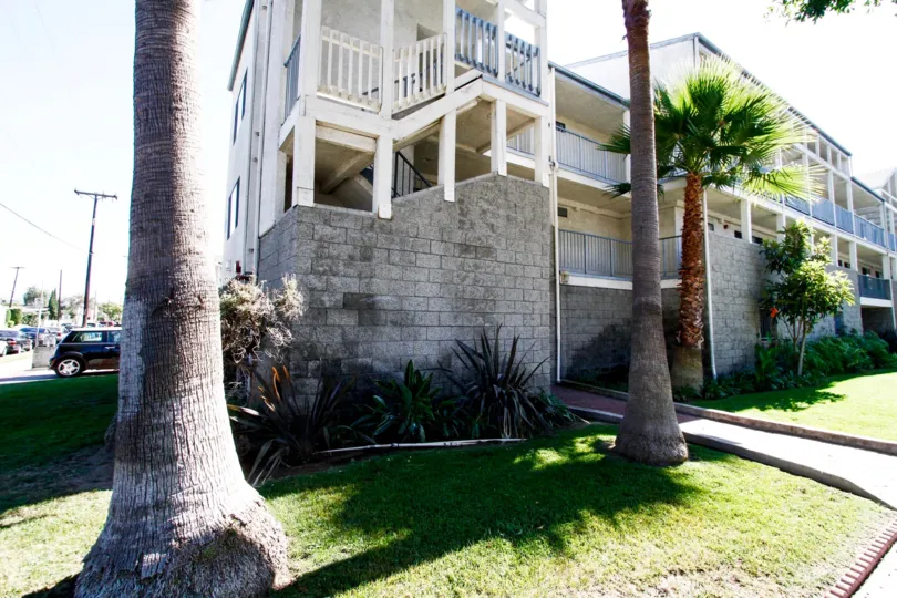 The landscaping at the Grevillea Townhomes in Inglewood