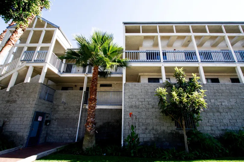The trees in front of the Grevillea Townhomes
