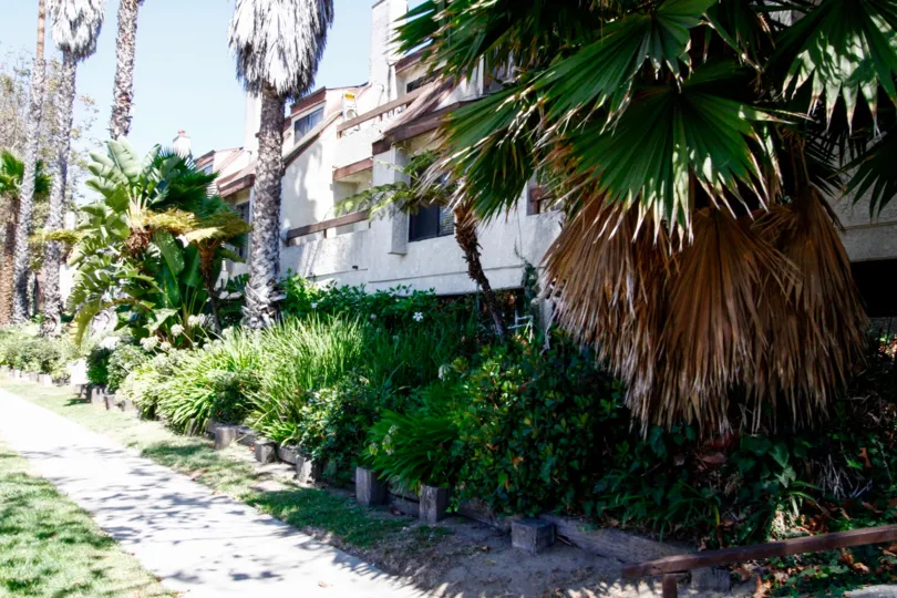 The landscaping around Hyde Park Village