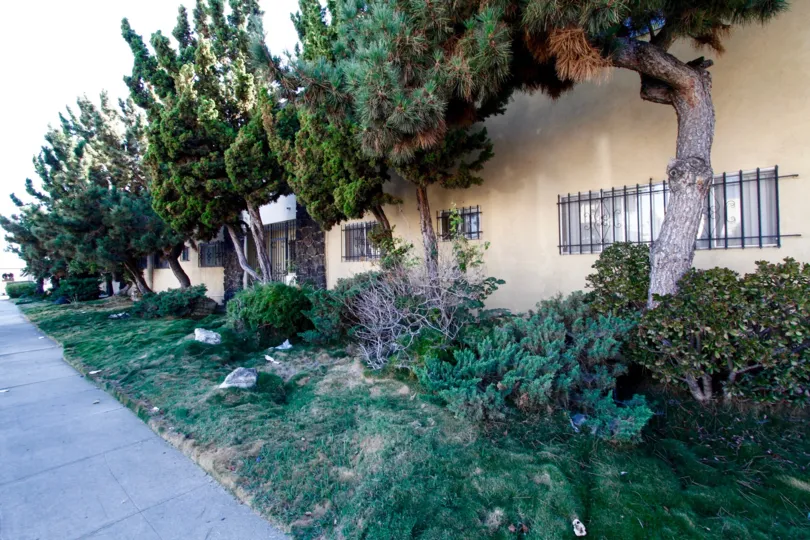 The landscaping around the Java West in Inglewood