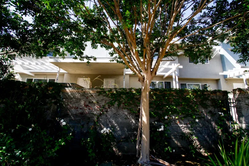 The landscaping at Oak Street