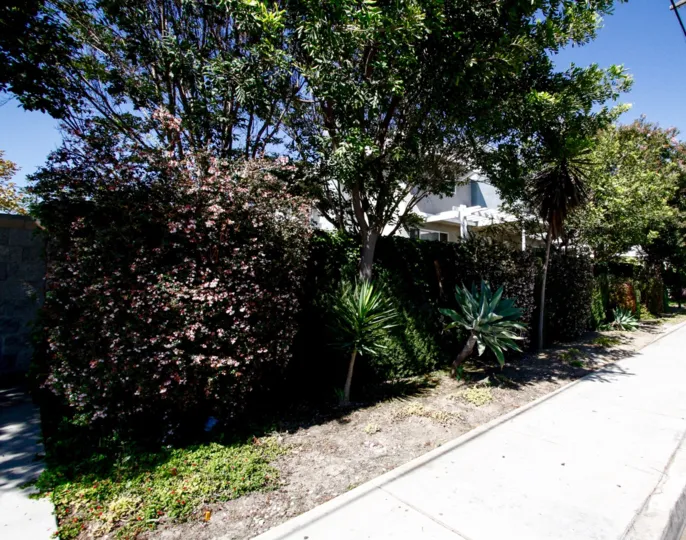 The sidewalk around Oak Street