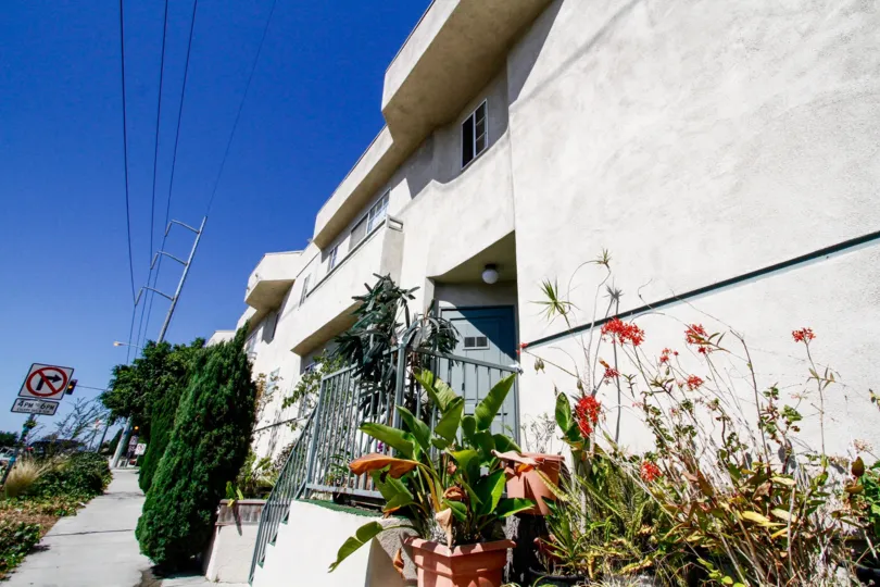 The landscaping at the Park La Cienega in Inglewood