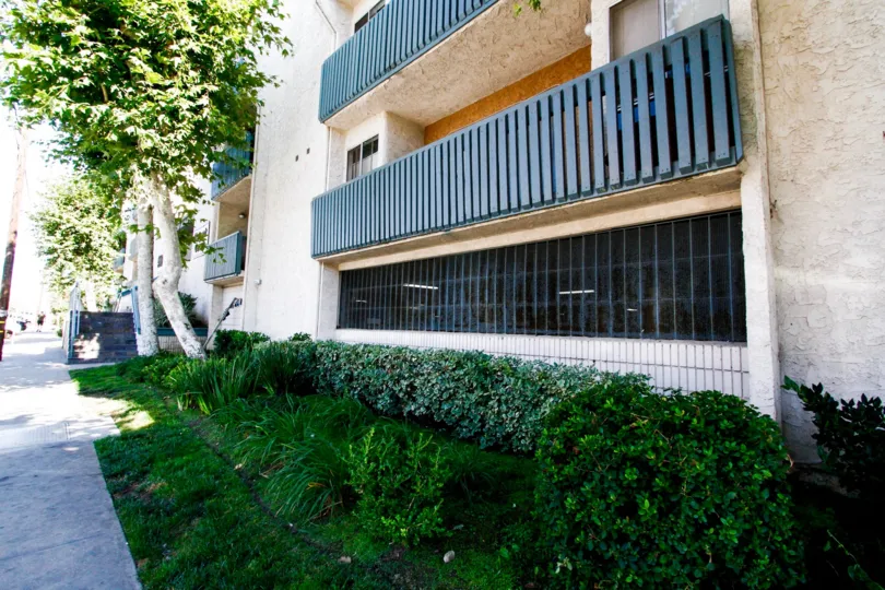 The hedges in front of Regent Court