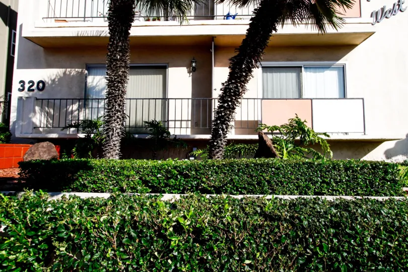 The hedges around Spruce Towers West in Inglewood