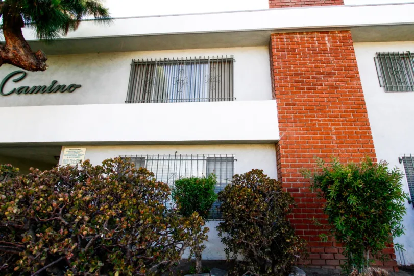The windows seen throughout The El Camino