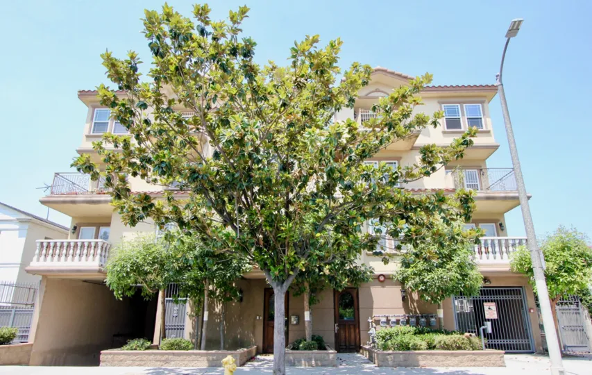 Beautiful, large, and shady tree of the Arena Cove Villas