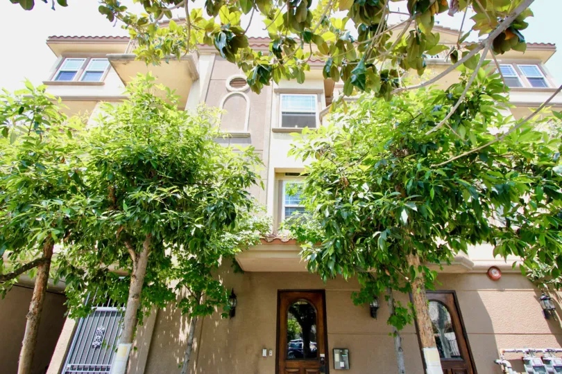 THE TREES TAKE PLACE IN THE FRONT OF THE APARTMENT. ITS VERY BEAUTIFUL SCENORY