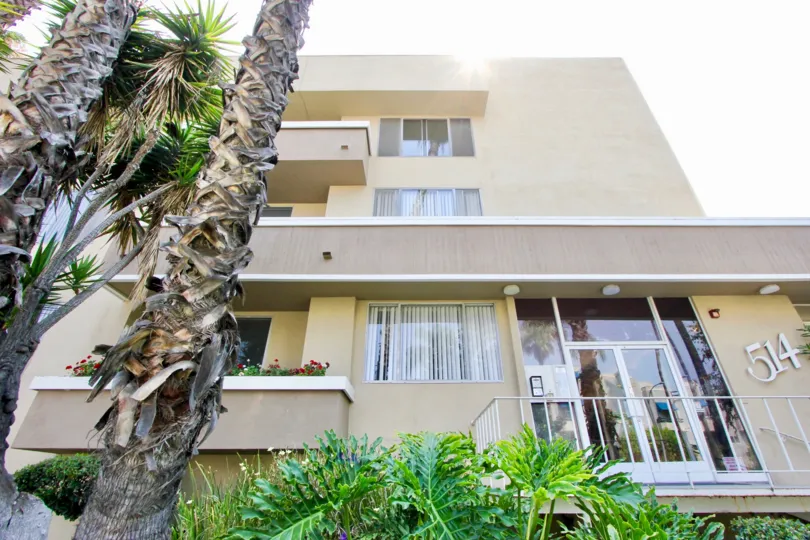 Another sunny day at the Harvard Townhouse in Koreatown, California