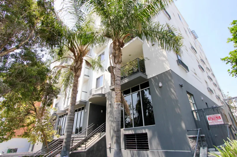 The bright exterior of the Manhattan View complex in Koreatown shaded from the cloudless California sky by a stunning pair of palm trees