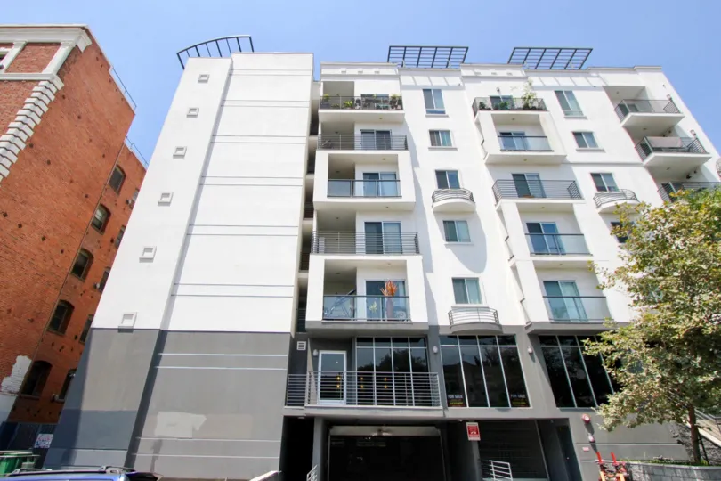 Picture of white apartment building from street in Manhattan View, Koreatown, Los Angeles, California
