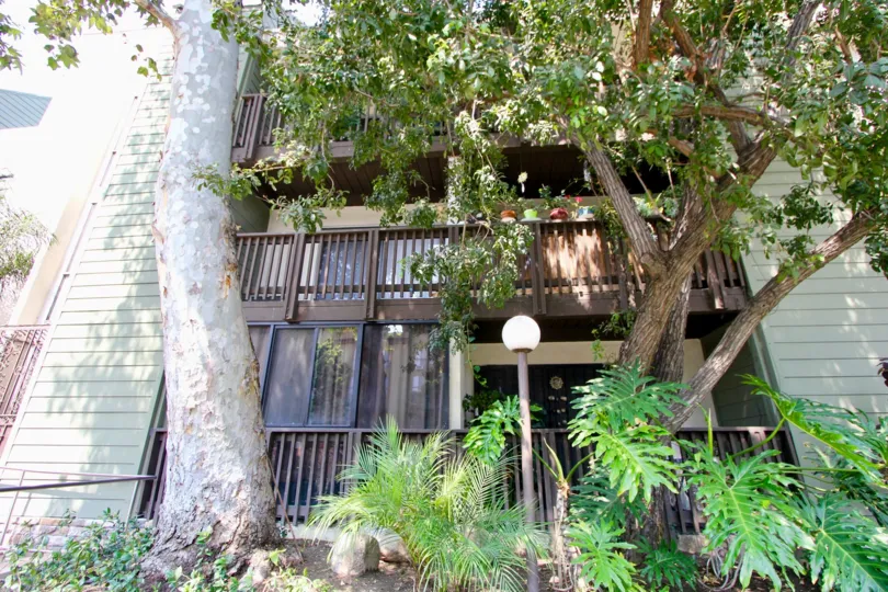 Side of building at Park Villas with trees and lamp.