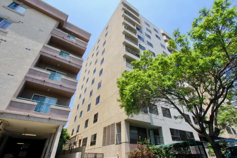 View of two buildings, where the one on the right side is much higher than the one on the left side, together with a beautiful tall tree