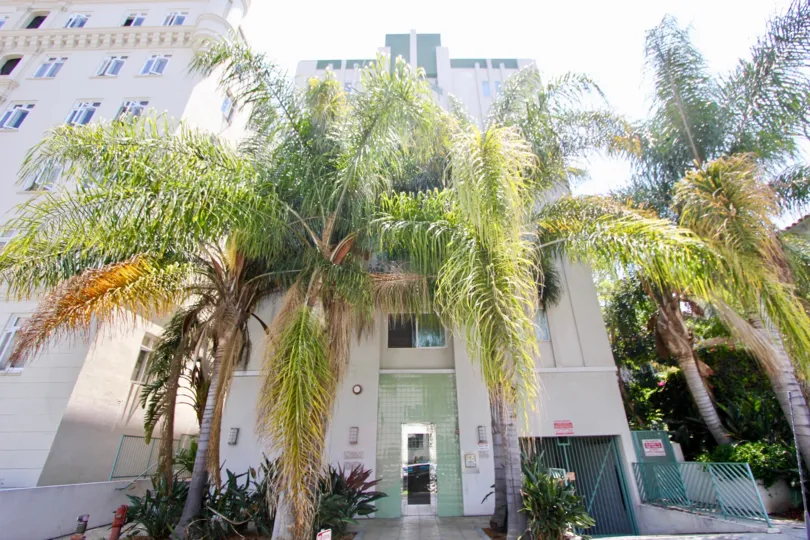 Palm trees in front of Serrano Towers in Koreatown CA