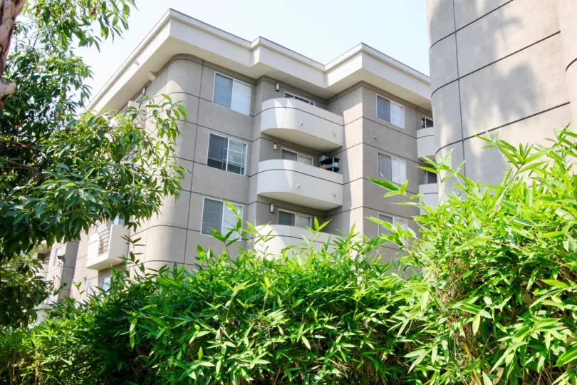 a sunny climate in the Cleo and it has an apartment