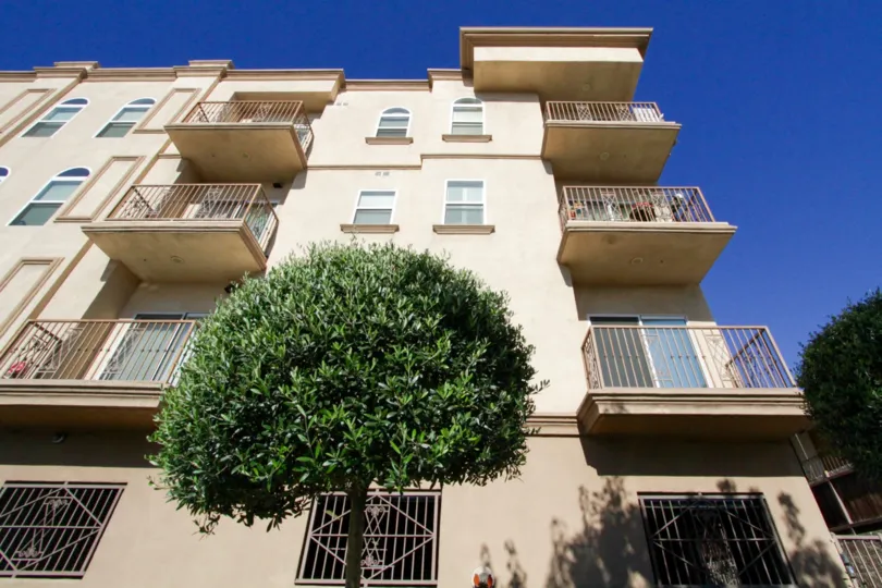 A shaped tree sits at the front of Wilton Heights