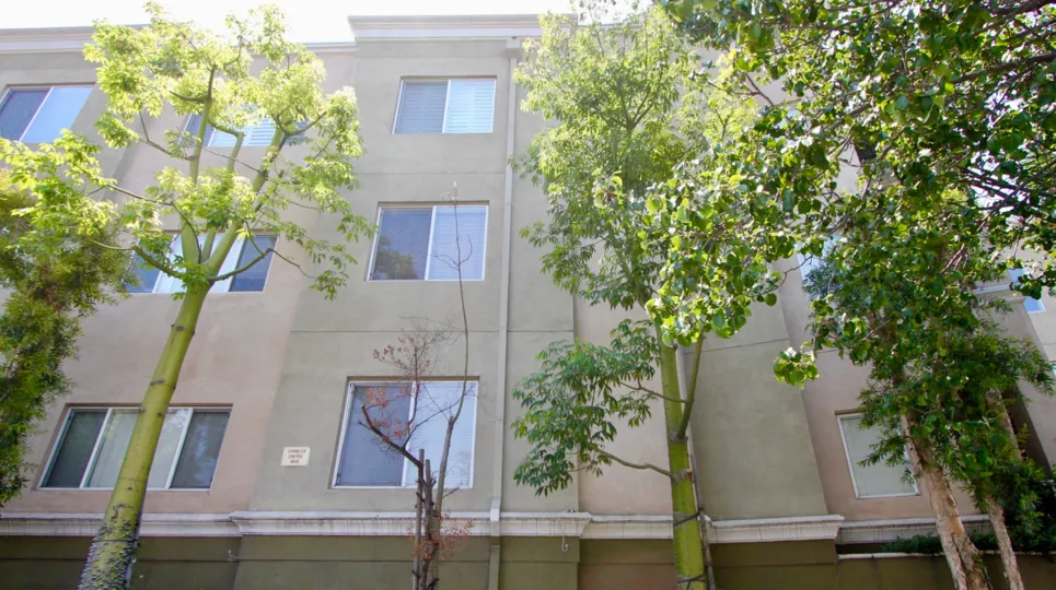 The view of windows at Wilton Plaza in Koreatown California