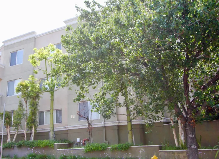 the exterior of Wilton Plaza and it's amazing green neighborhood, Koreatown, California