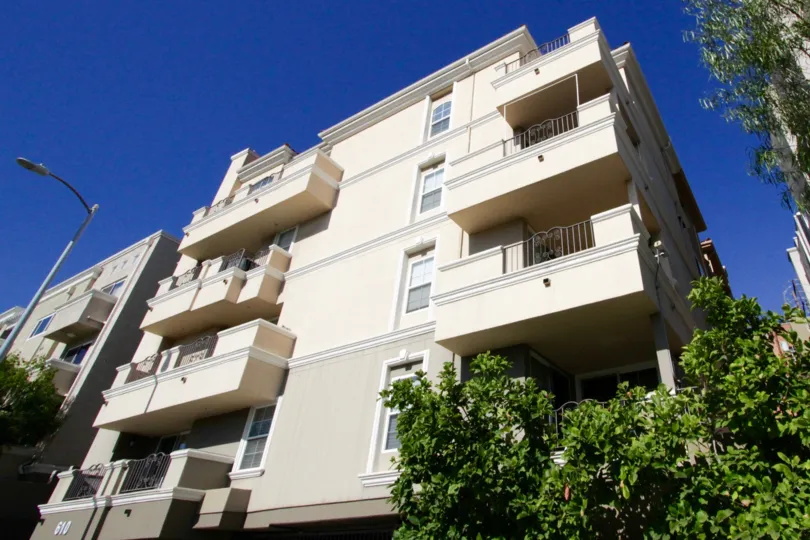 Trees surround the Wilton Terrace building