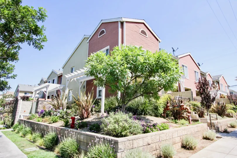 The trees around 1500 Pine Ave in Long Beach, California