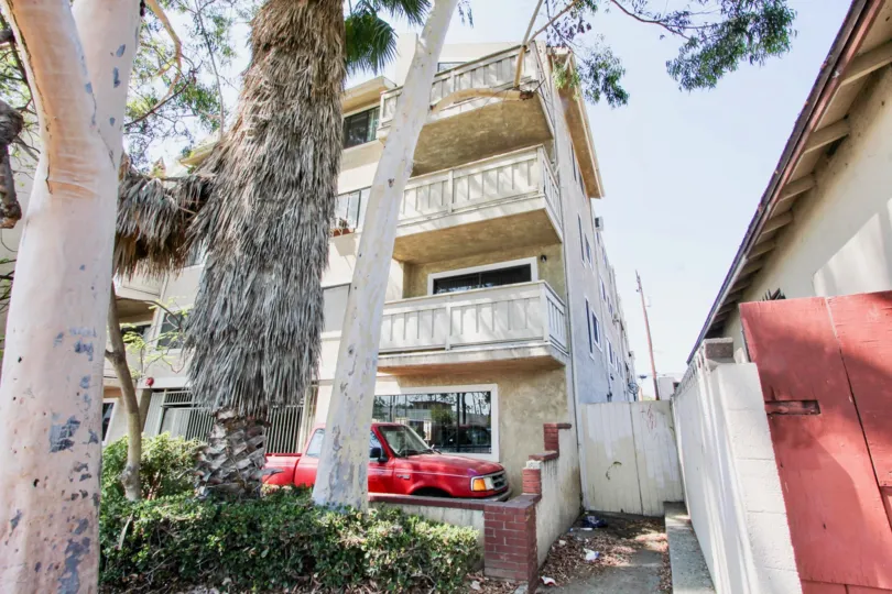 The trees in front of 1723 Cedar Ave in Long Beach, California