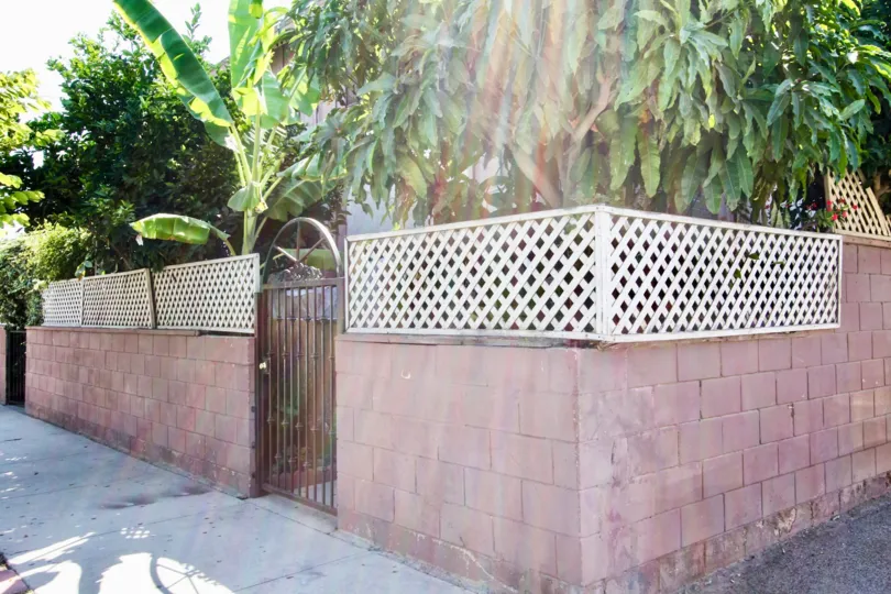 The trees around 2020 W 23rd St