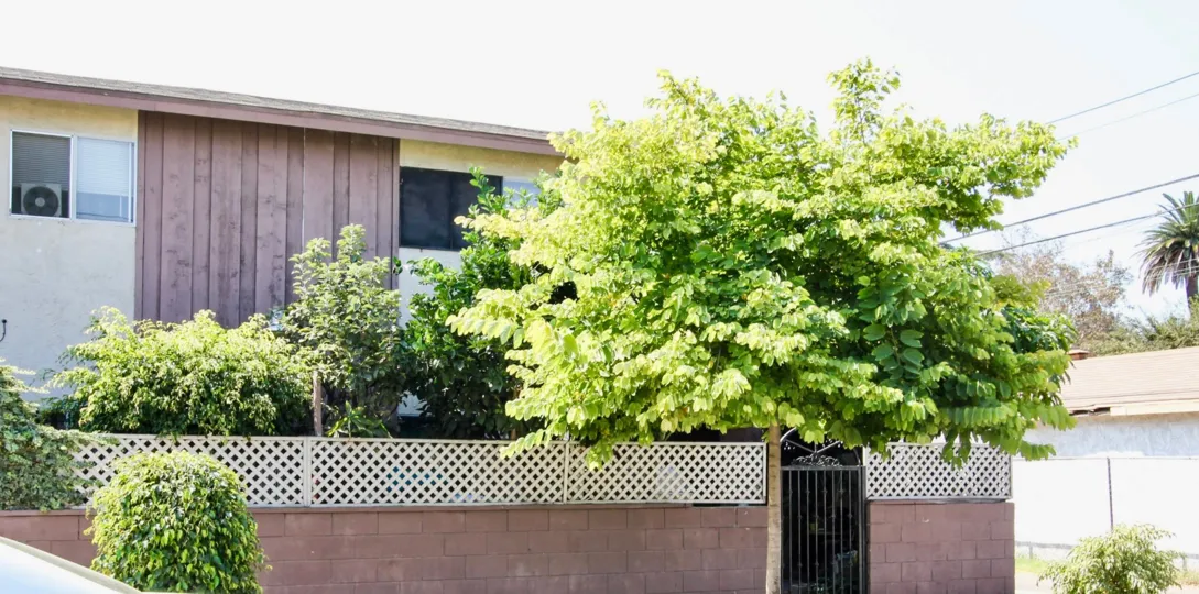 The landscaping around 2020 W 23rd St