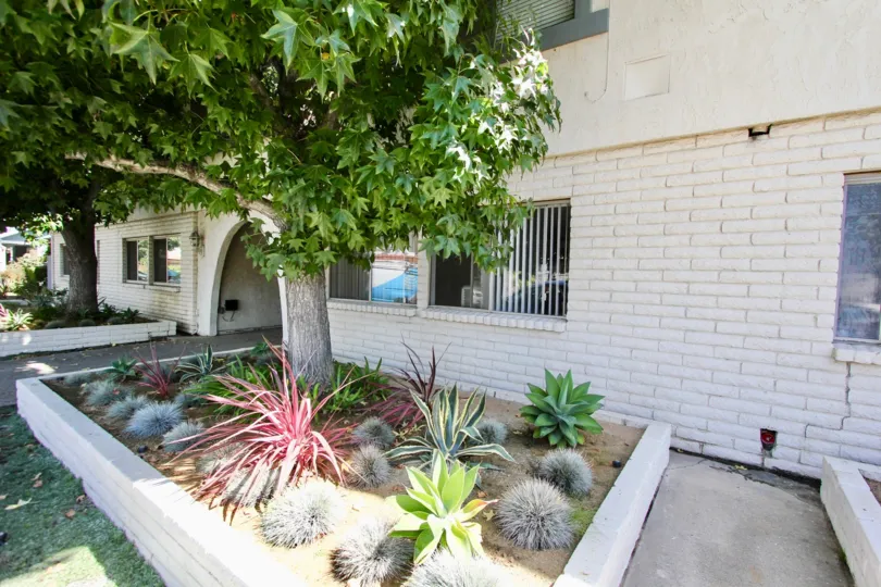 The landscaping around 360 Gladys Ave in Long Beach, California