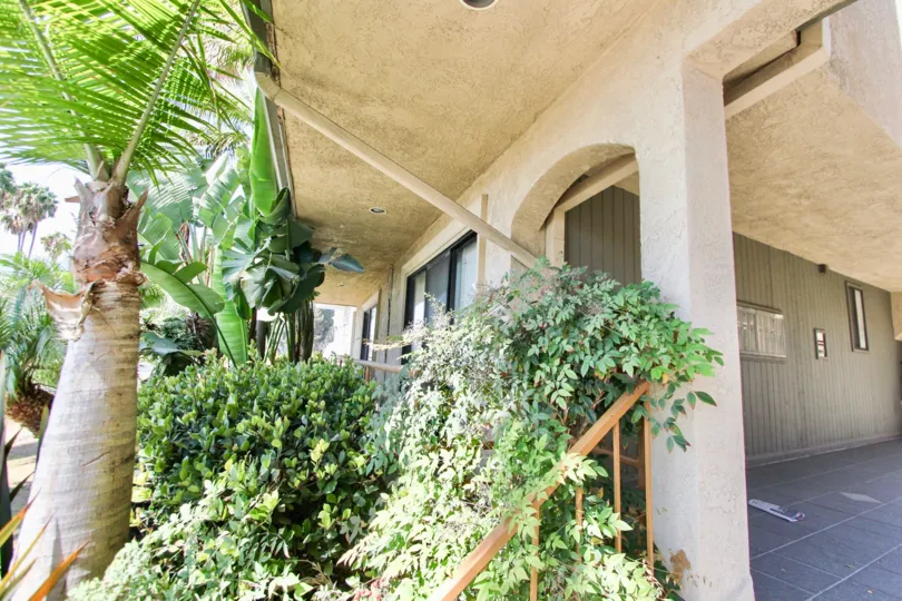 The plants around 3811 E Livingston Dr