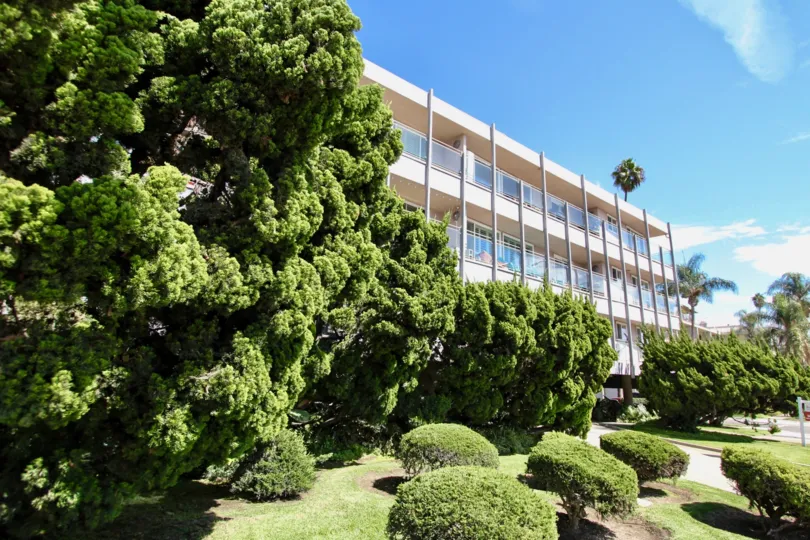 The yard in front of 3819 E Livingston Dr in Long Beach, California