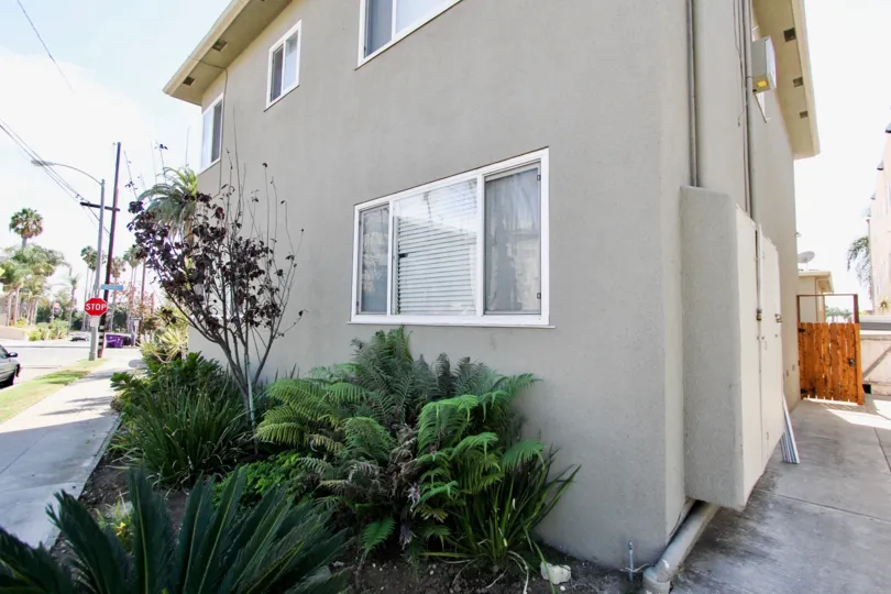 The greenery around 39 Tremino Ave